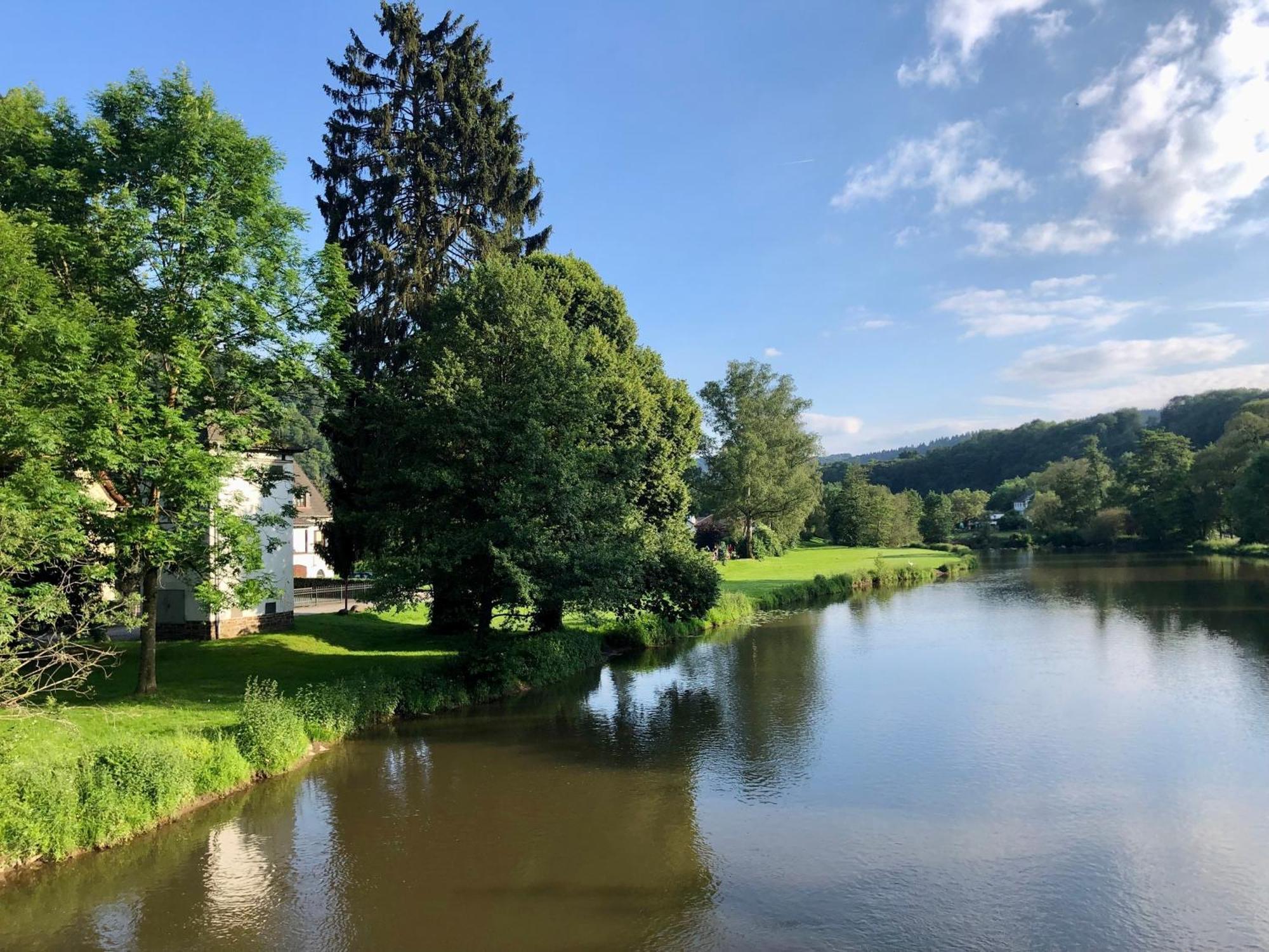 Ferienwohnung "Gaston" Mitten In Waldbreitbach Bagian luar foto